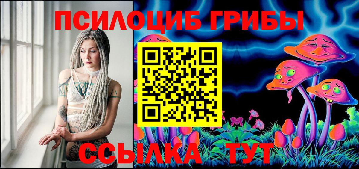Дюртюли  Псилоцибиновые грибы прущие грибы  Вход с VPN 