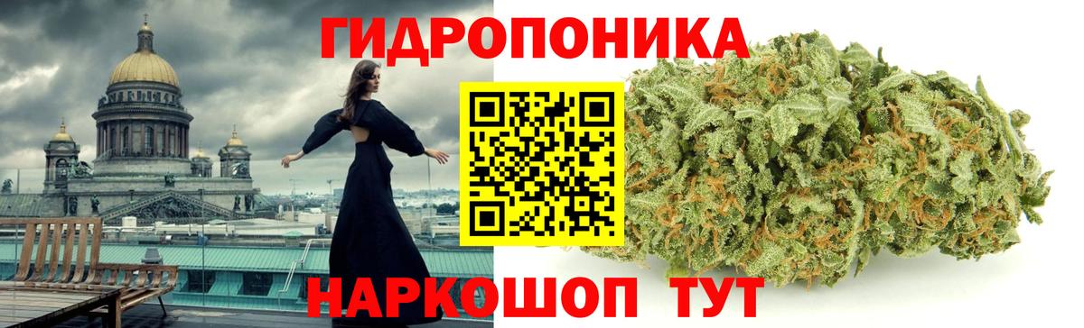 Бошки марихуана VHQ  Конопля тримм  Каннабис Bruce Banner  Вход с VPN  Дюртюли  Конопля планчик 